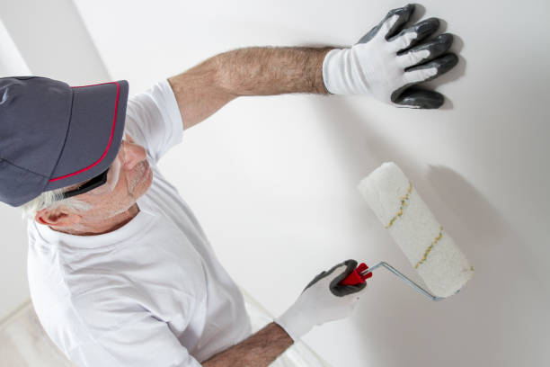 Best Mold Removal for HVAC Installations  in La Mesa, CA