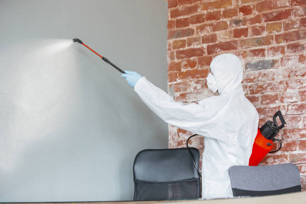 Best Post-Remediation Verification Testing  in La Mesa, CA