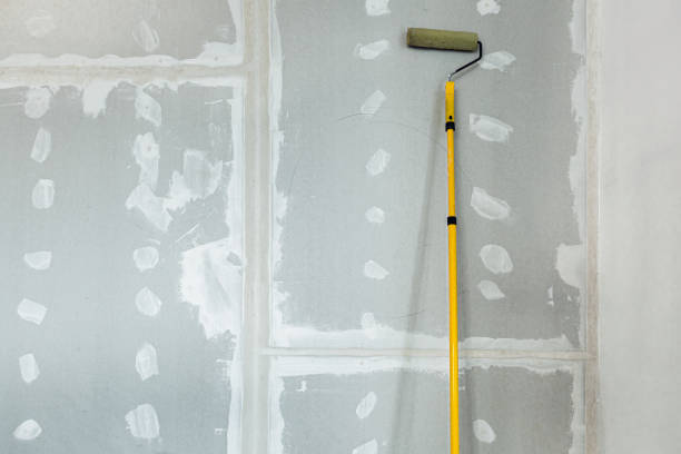  La Mesa, CA Mold Removal Pros