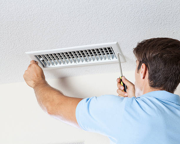 Best Environmental Consulting for Mold Prevention  in La Mesa, CA