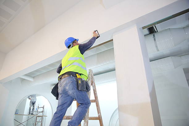 Mold Odor Removal Services in La Mesa, CA
